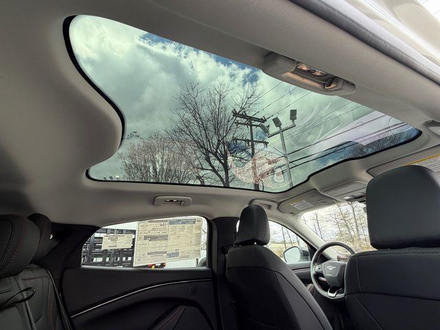 New 2026 Star White Metallic Tri-coat Ford Premium image 8