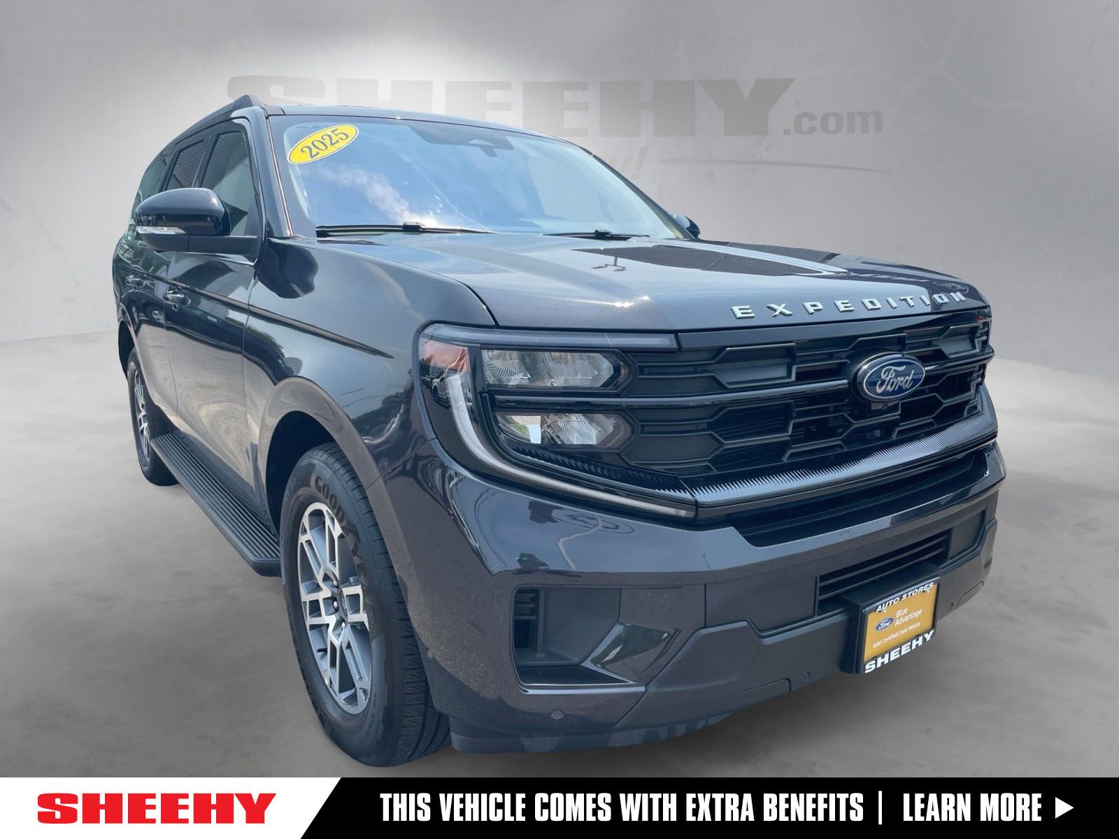 Dark Matter Gray Metallic 2025 Ford Expedition SUV / Crossover 4X2 Automatic