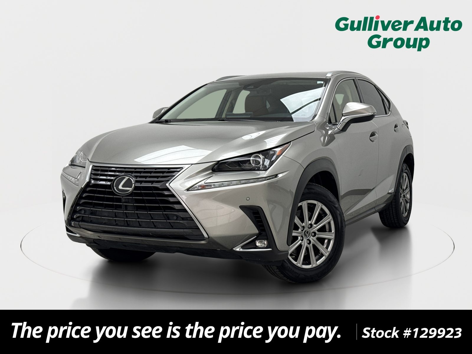 2020 Lexus NX 350 300h AWD's photo