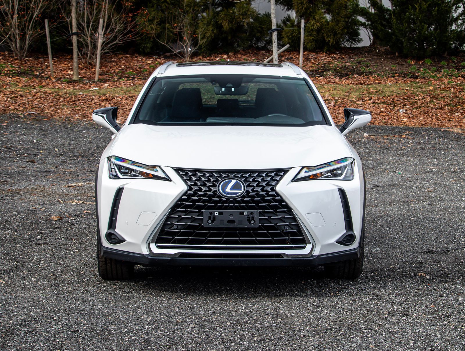 2021 Lexus UX Hybrid 250h AWD