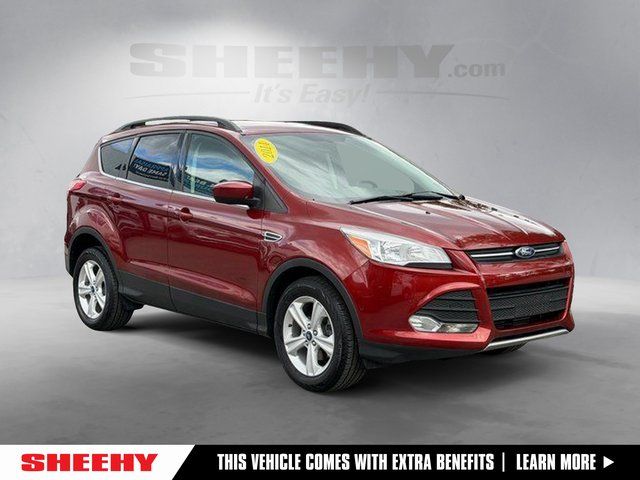 2014 Ford Escape SE's photo