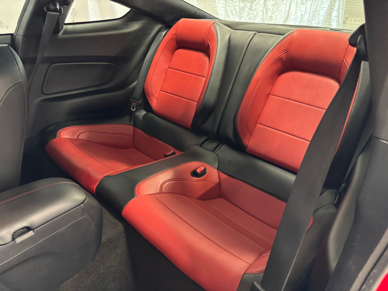 Used Car 2017 Ford Mustang  Ecoboost Premium For Sale Under $20,000 In Austin, Texas