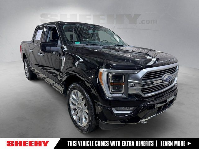 2023 Ford F-150 Limited