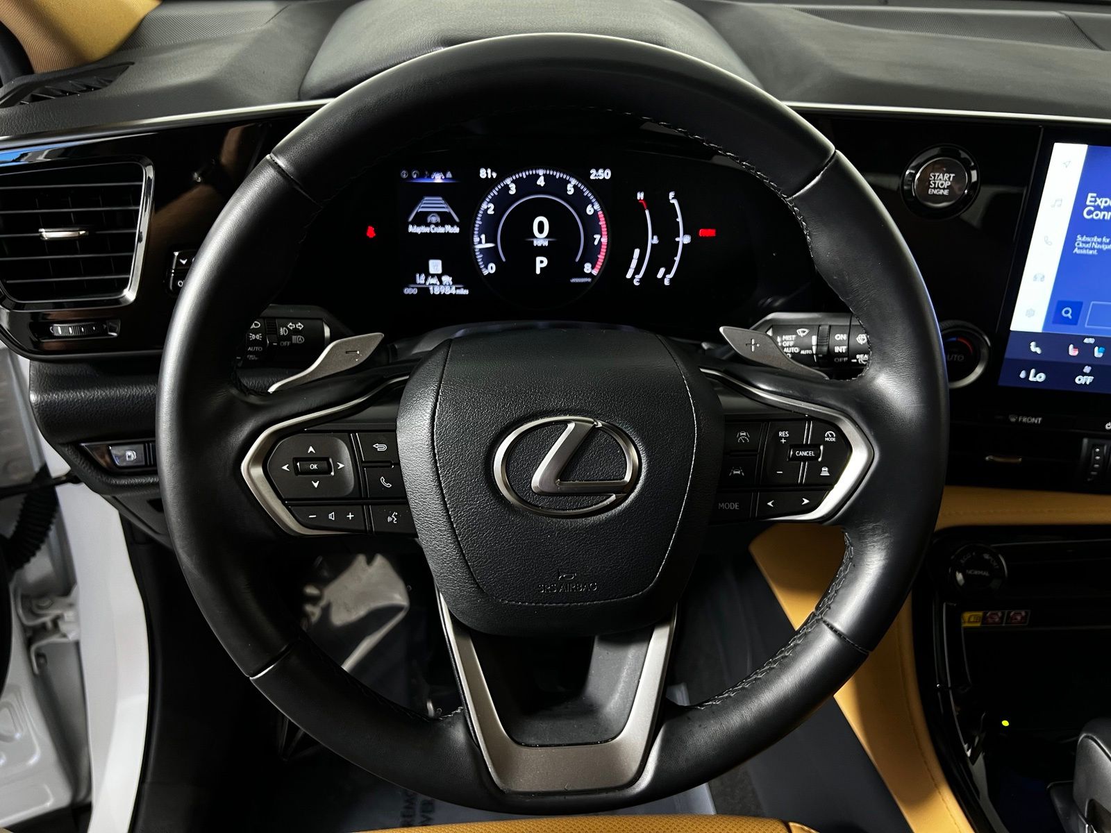 Thumbnail: 2025 Lexus NX - 16