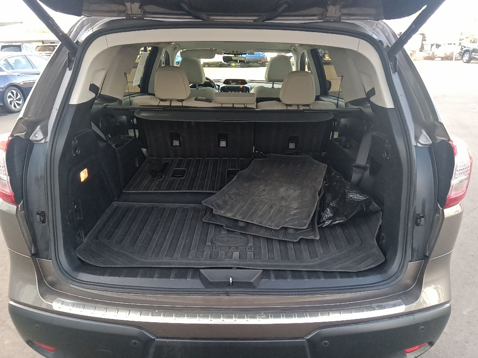 Ascent Limited 8 Passenger