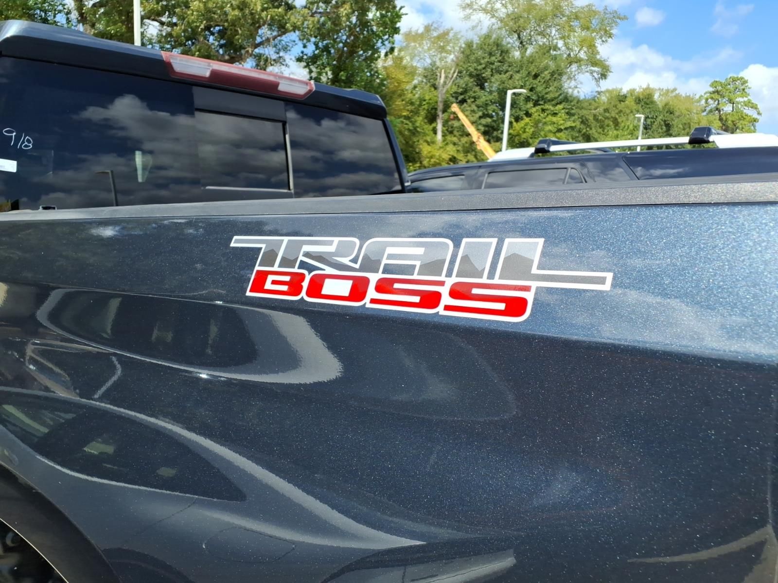 2019 Chevrolet Silverado 1500 LT Trail Boss Gray at Emmons Autoplex