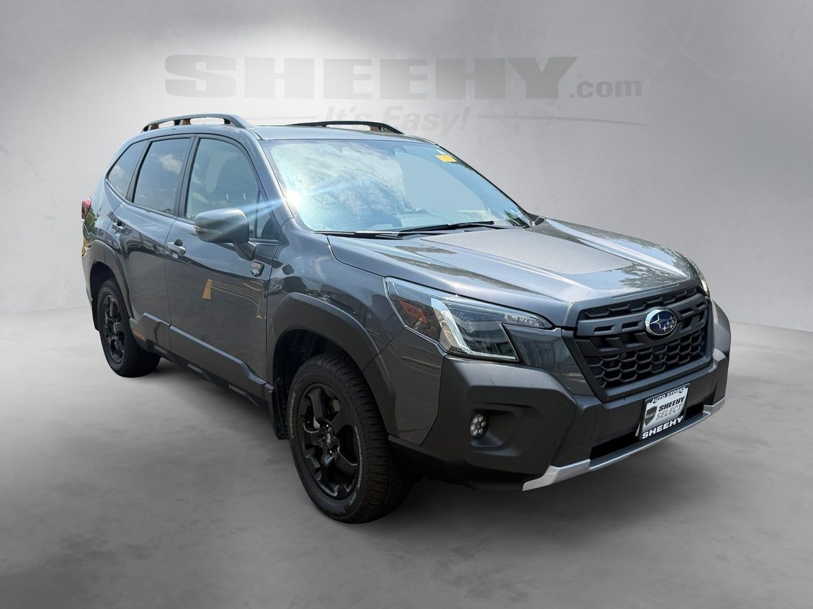 Used 2025 Gray Subaru Wilderness image 2