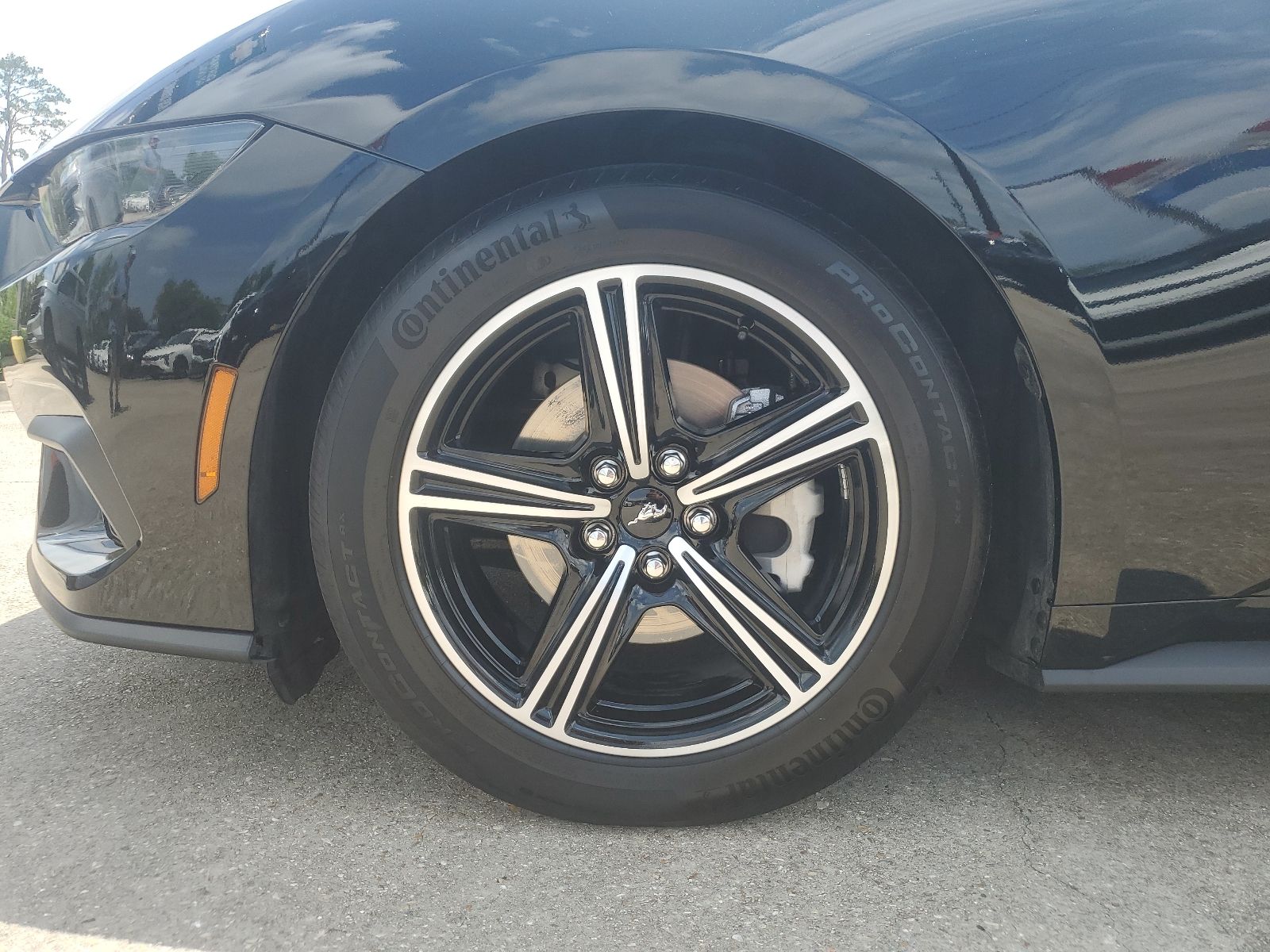 2025 Ford Mustang EcoBoost Premium - 6