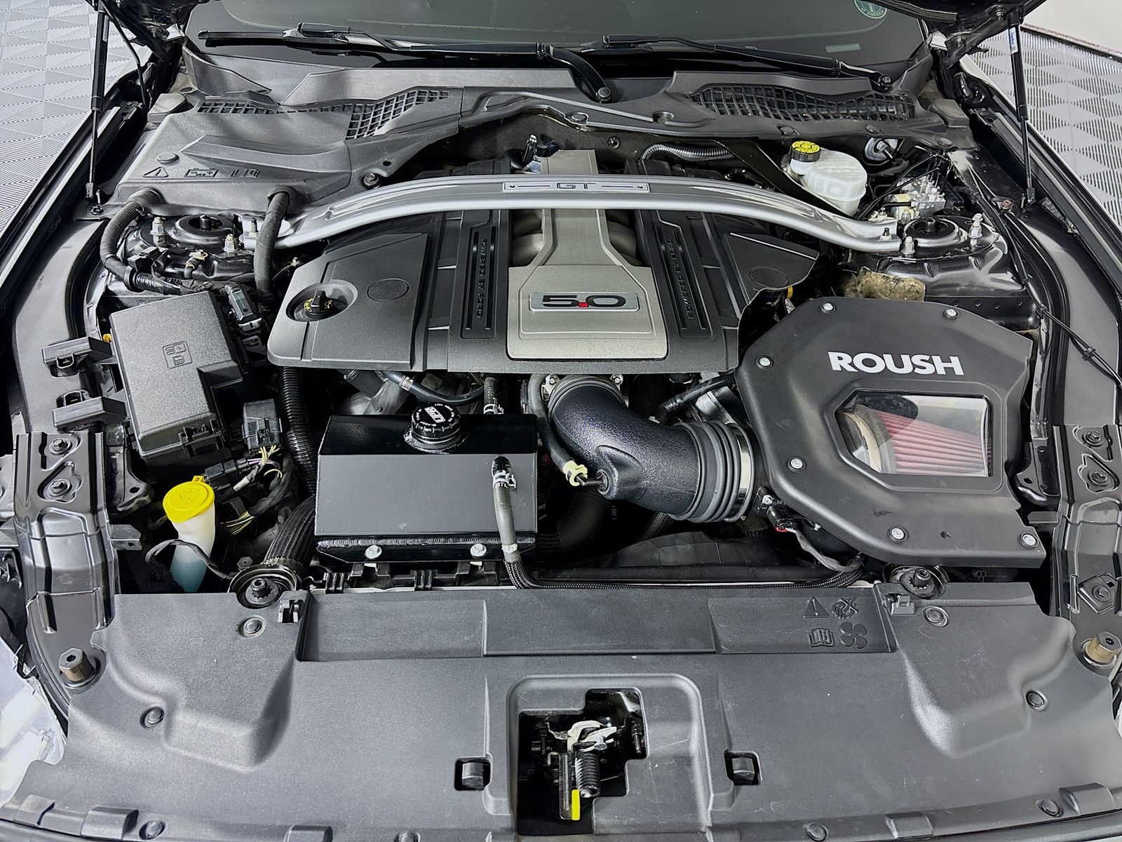 Used 2019 Ford Mustang GT Premium For Sale in OLIVE BRANCH, MS