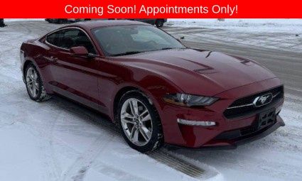 Ruby Red 2019 Ford Mustang EcoBoost Premium Coupe RWD Coupe Rear-Wheel Drive Automatic