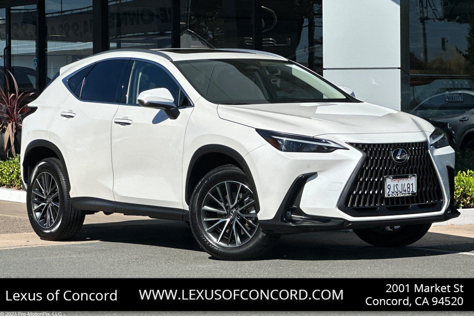 2024 Lexus NX Hybrid 350h Premium AWD