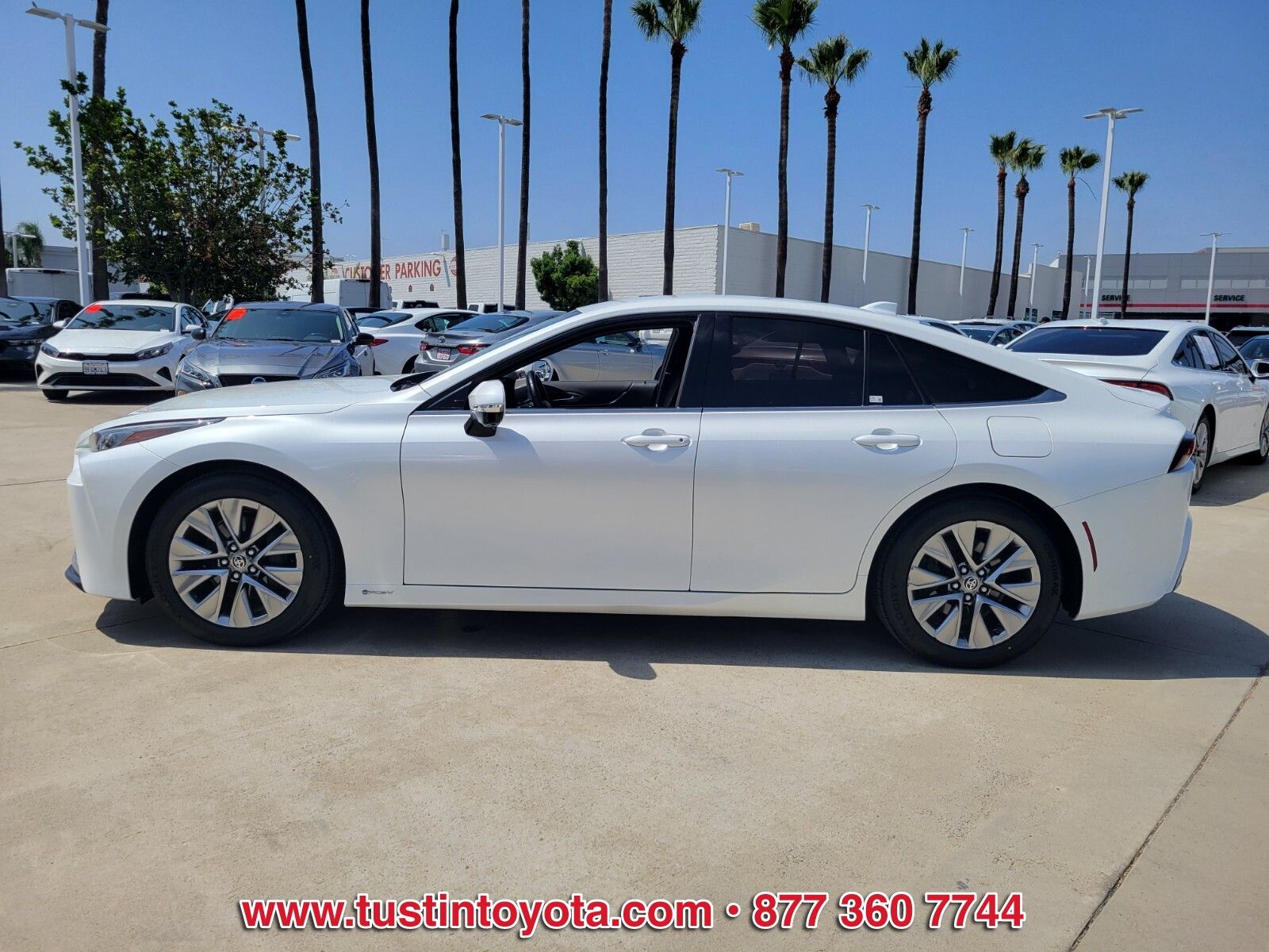 Used 2024 White Toyota XLE image 7