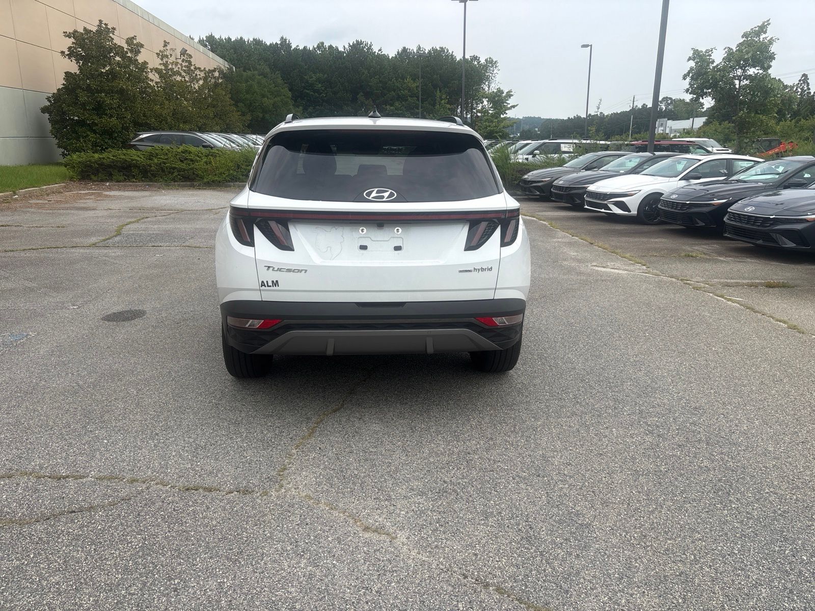 Used 2024 White Hyundai Limited image 5