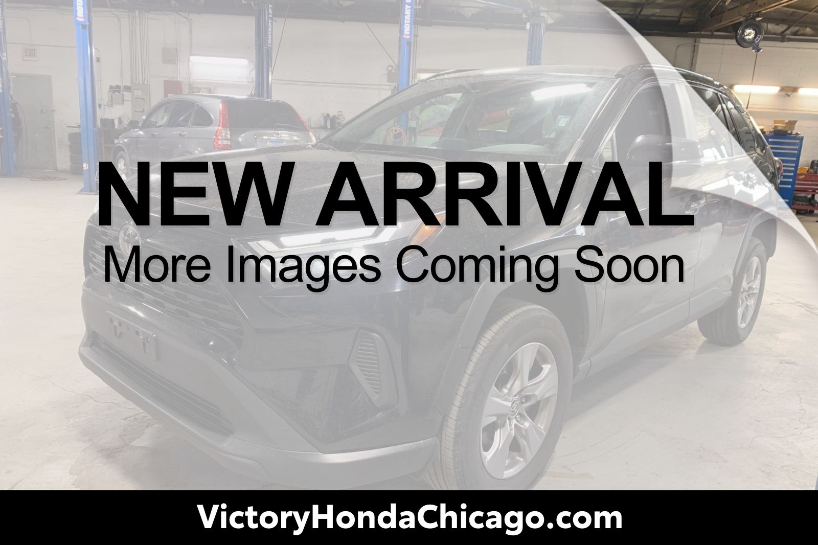 2024 Toyota RAV4 XLE AWD