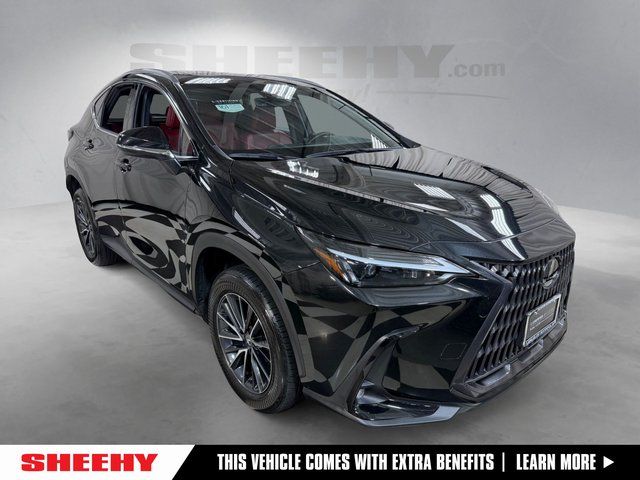 2024 Lexus NX 350 Base