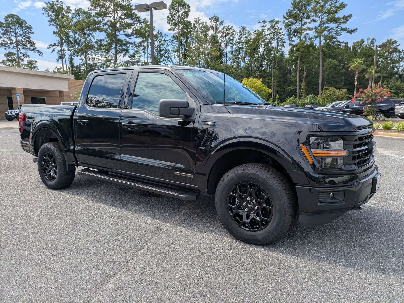 Black Metallic 2025 Ford F-150 Pickup Truck Four-Wheel Drive Automatic
