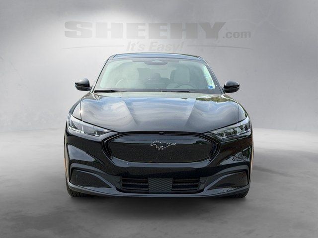 Certified Used 2025 Shadow Black Ford Premium image 16