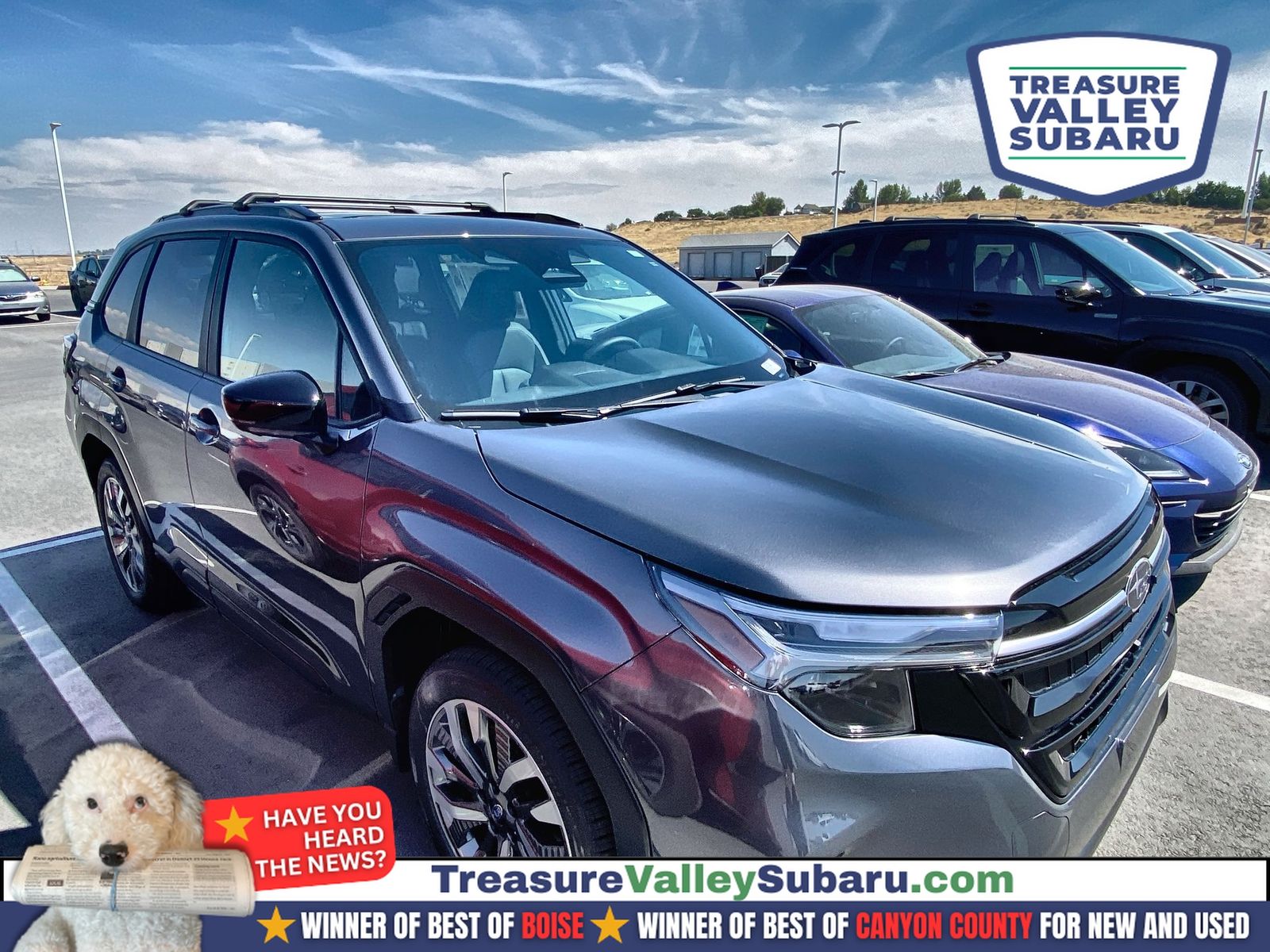 Mgm 2026 Subaru Forester SUV / Crossover All-Wheel Drive Continuously Variable Transmission