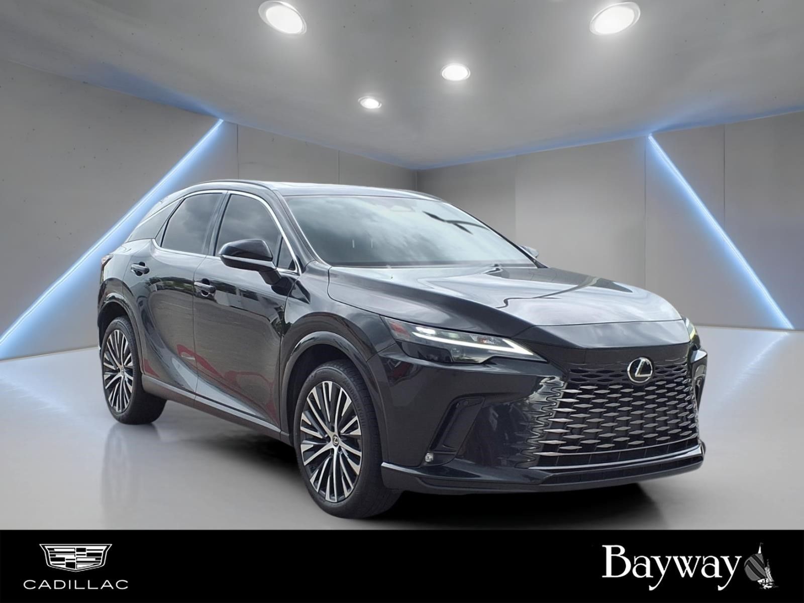 2023 Lexus RX 350 Premium Plus - 4