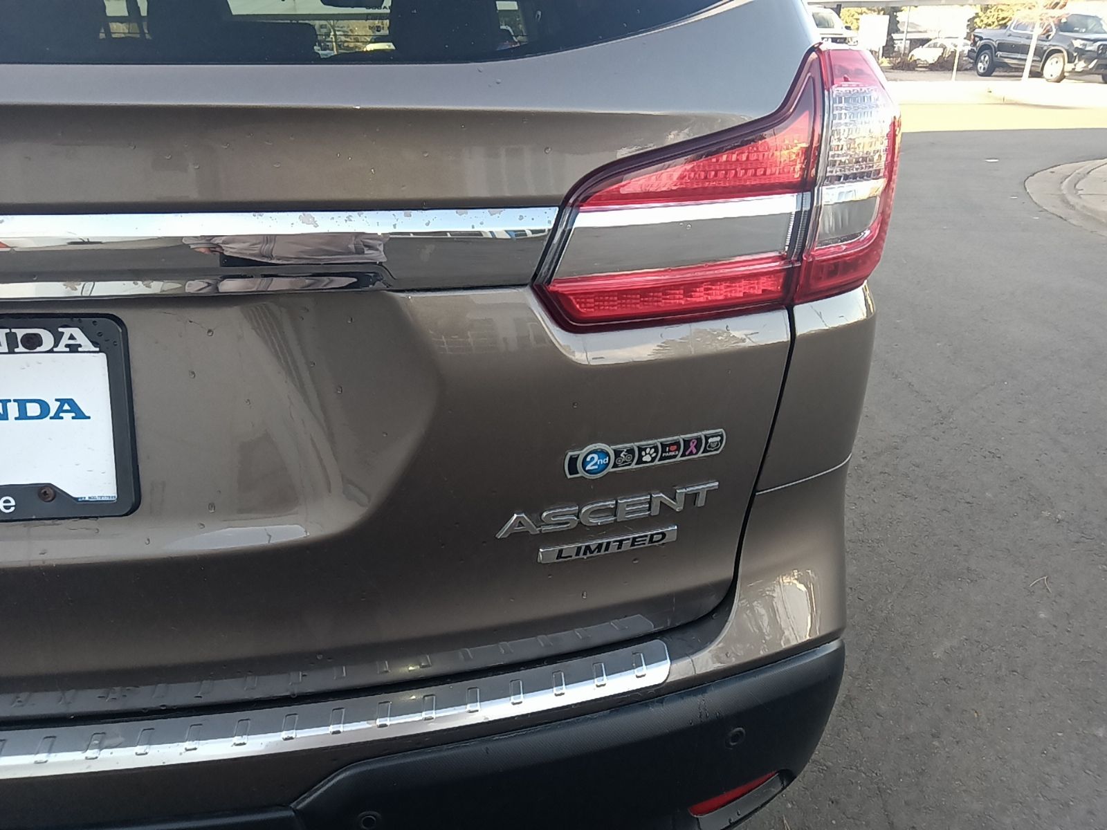 Ascent Limited 8 Passenger