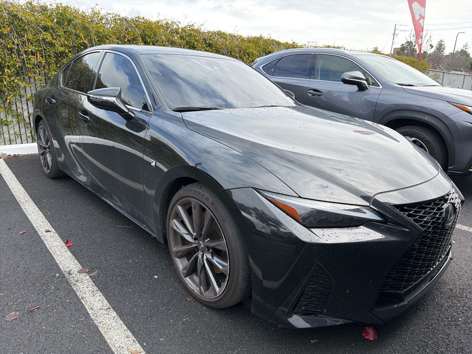 2024 Lexus IS 350 F Sport RWD