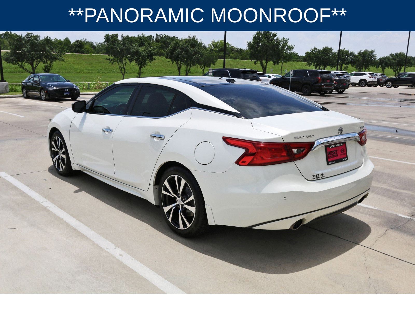 Maxima Platinum