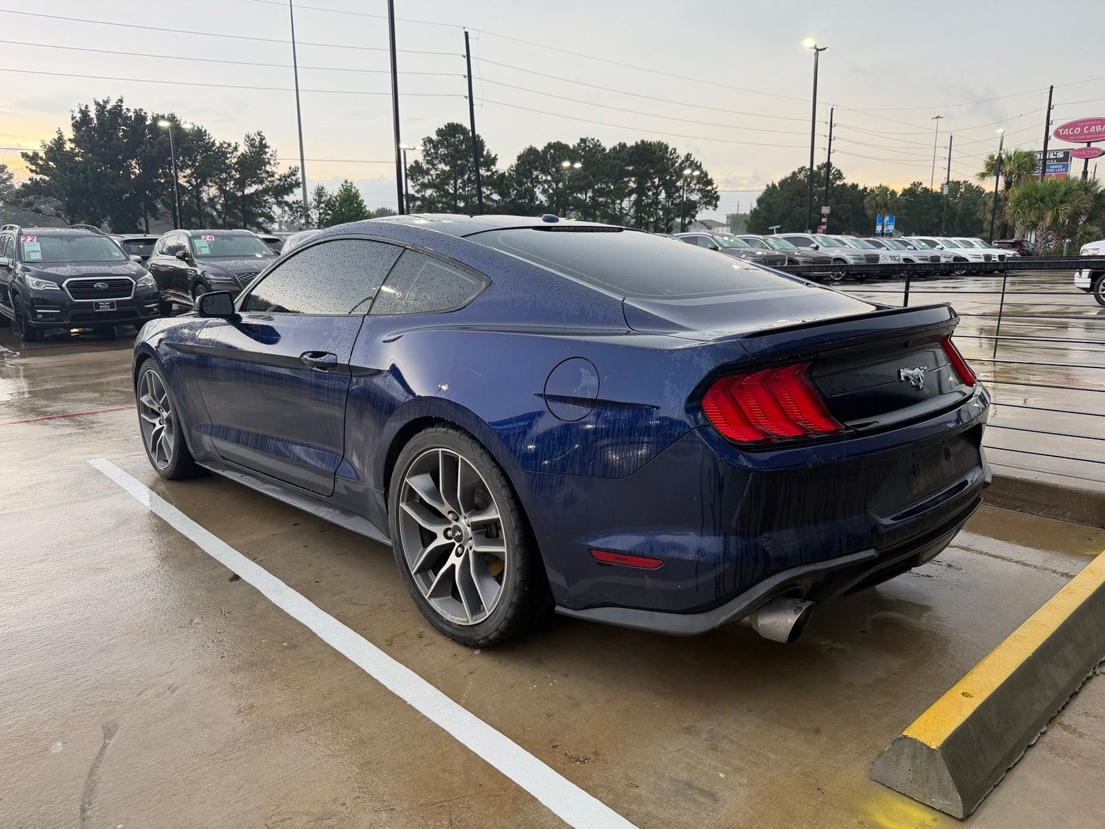 2019 Ford Mustang EcoBoost Premium - 2