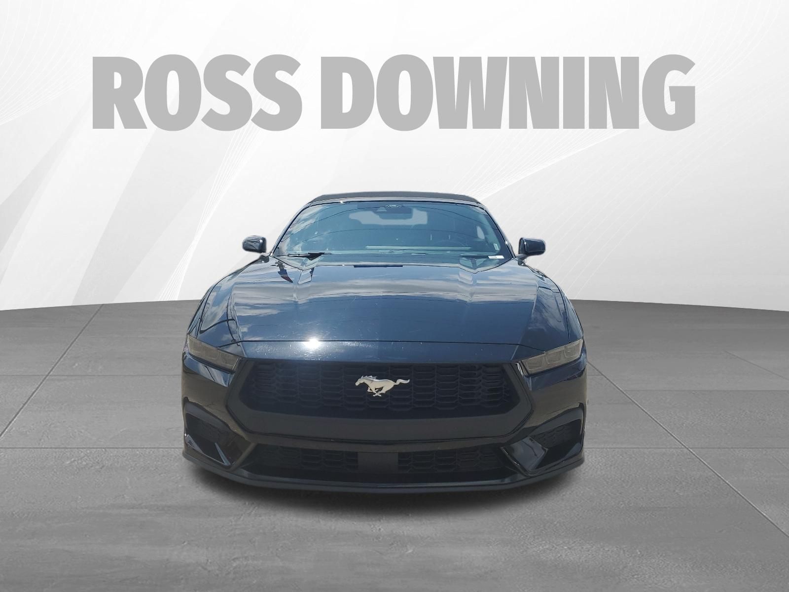 2025 Ford Mustang EcoBoost Premium - 1