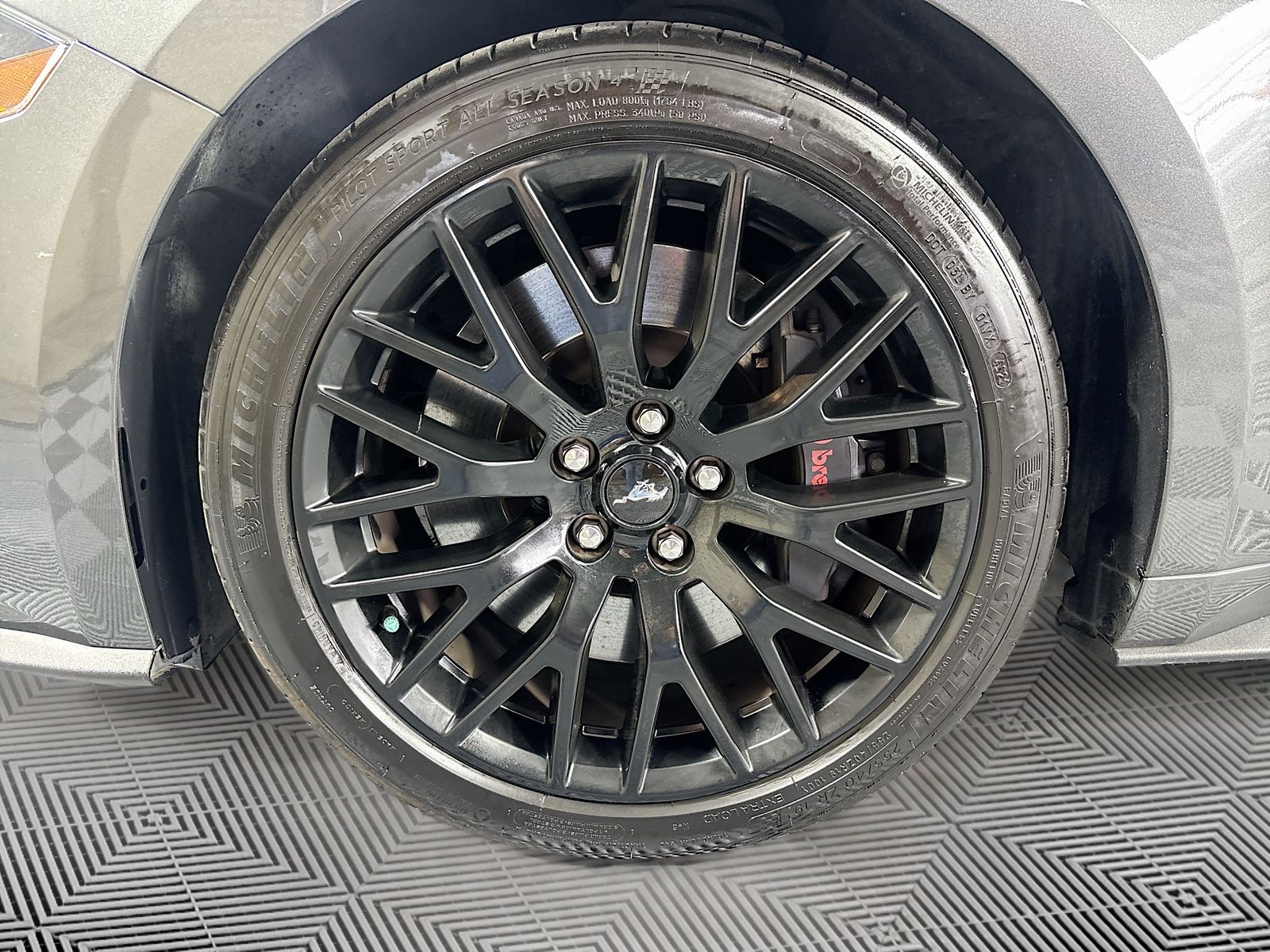 Used 2019 Ford Mustang GT Premium For Sale in OLIVE BRANCH, MS