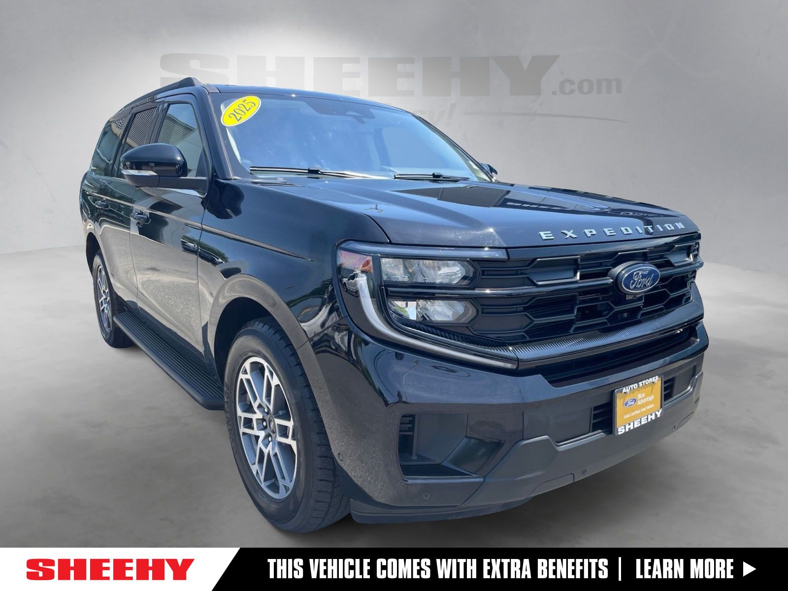 Agate Black Metallic 2025 Ford Expedition SUV / Crossover Four-Wheel Drive Automatic