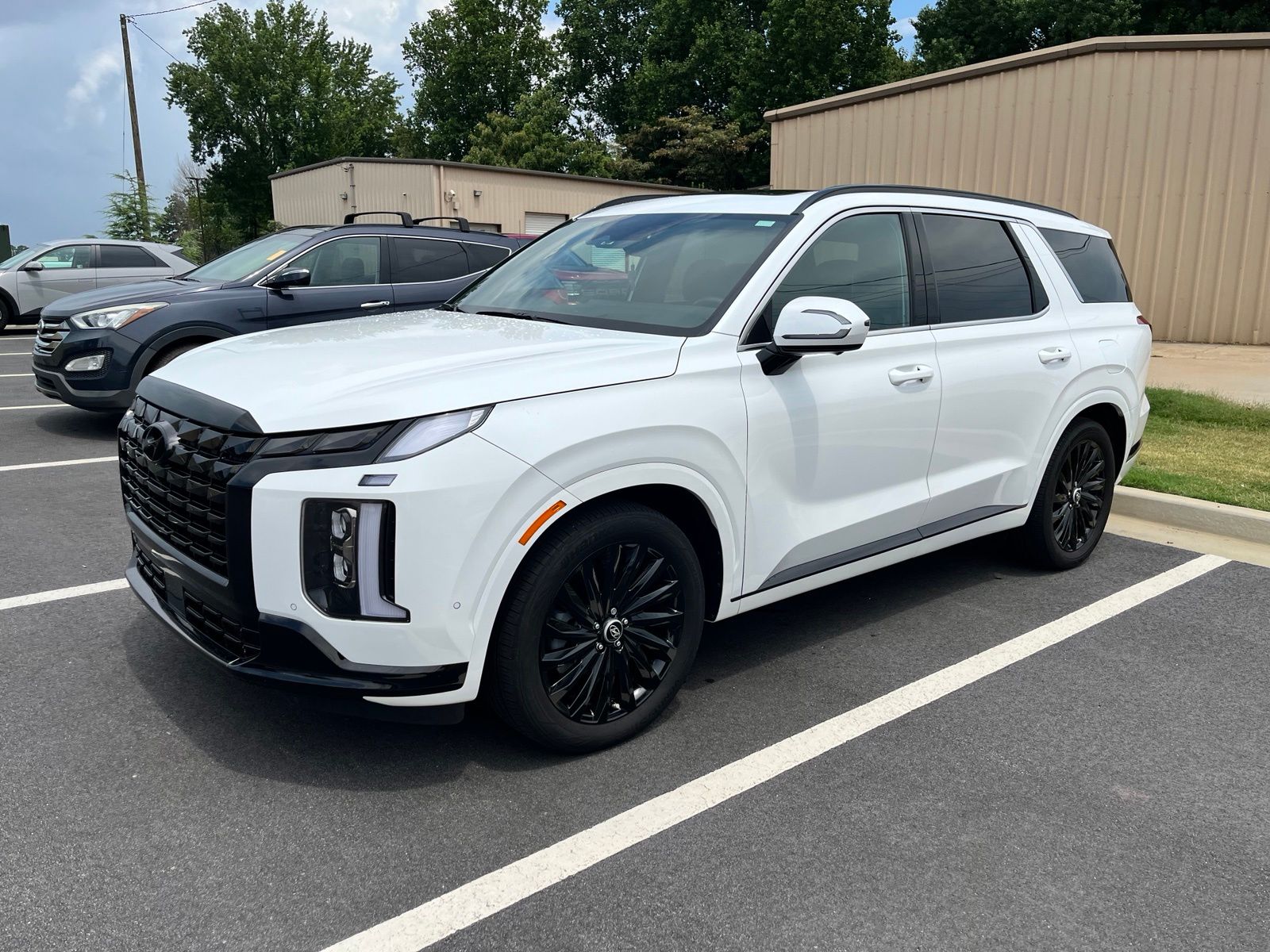 2025 Hyundai Palisade Calligraphy Night Edition