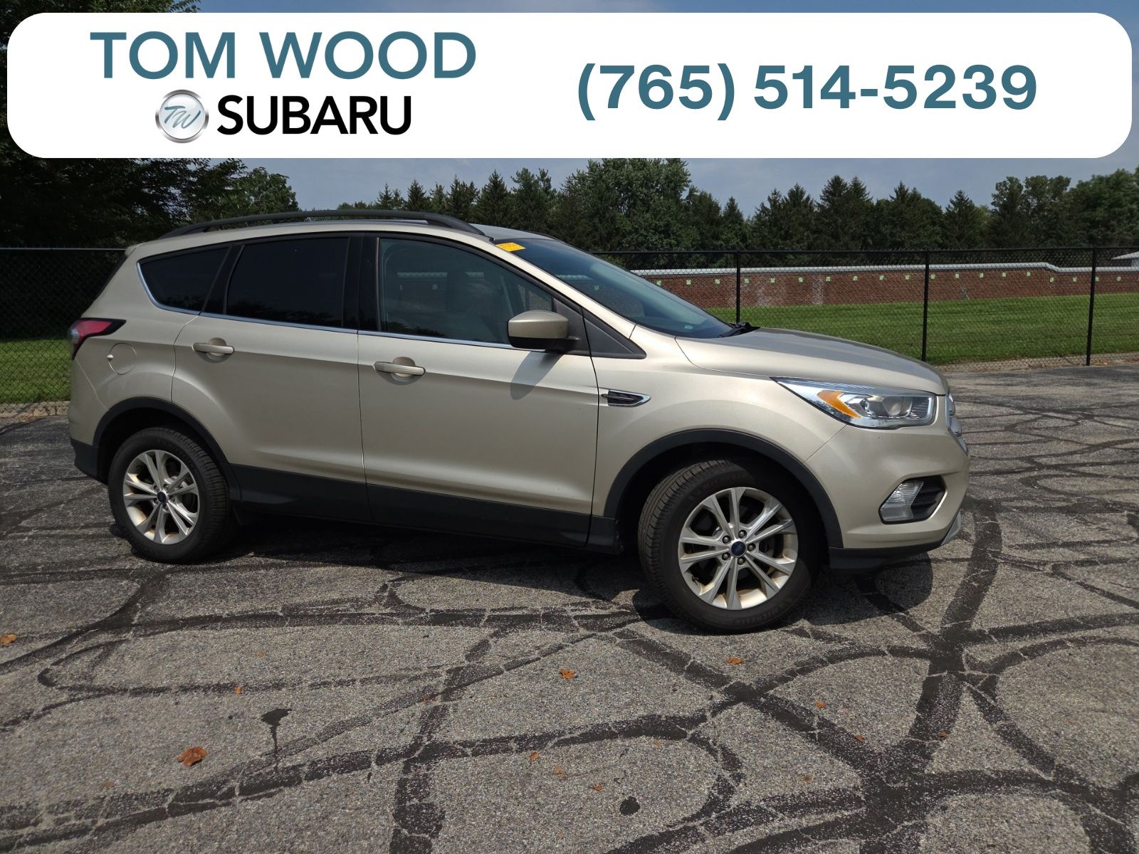 White Gold Metallic 2018 Ford Escape SUV / Crossover Front-Wheel Drive 6-Speed Automatic