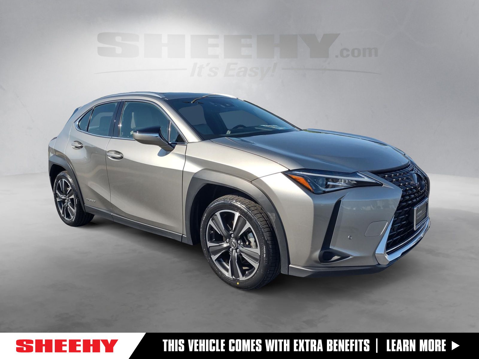 2020 Lexus UX Hybrid
