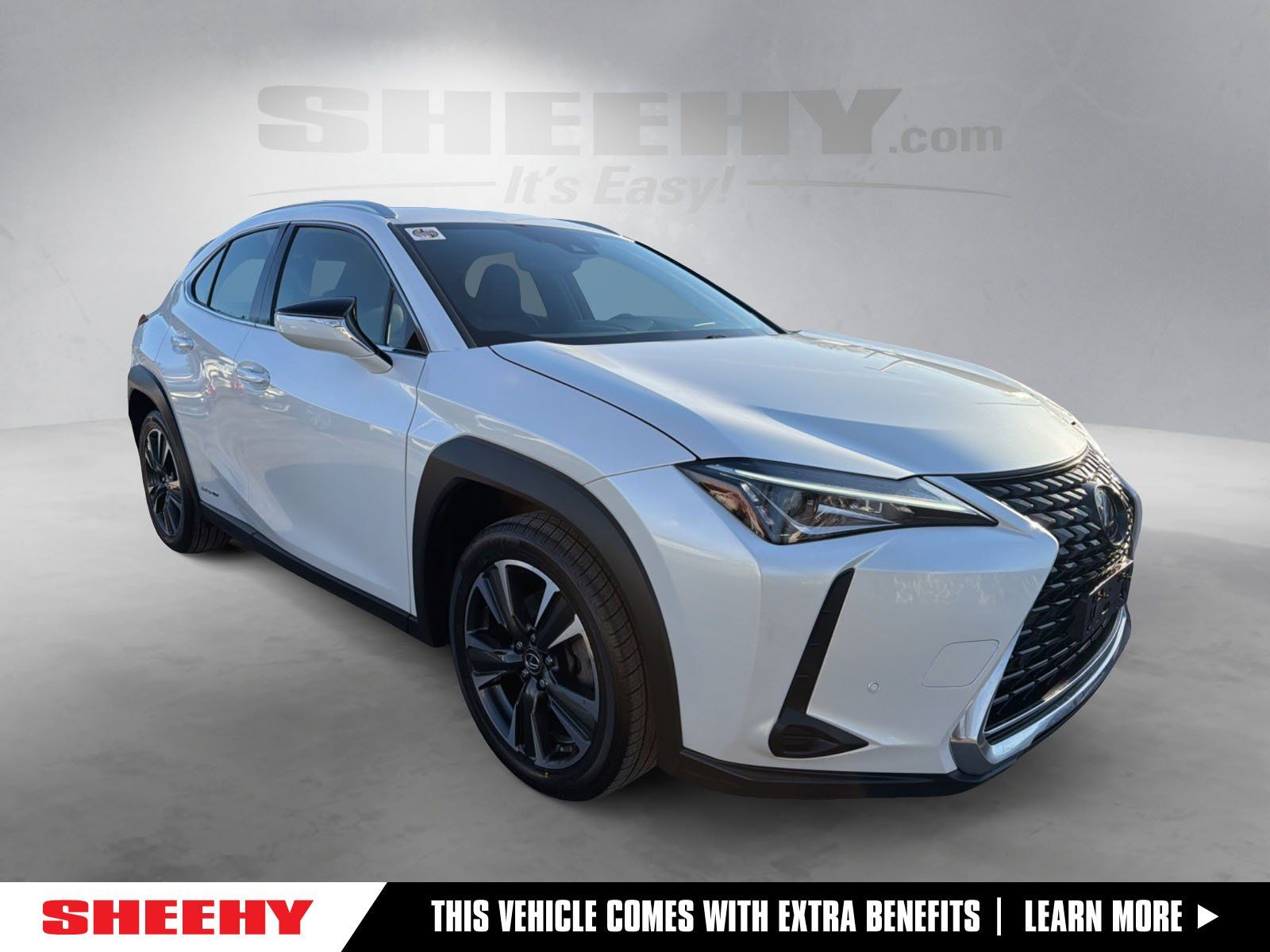 2021 Lexus UX Hybrid 250h AWD