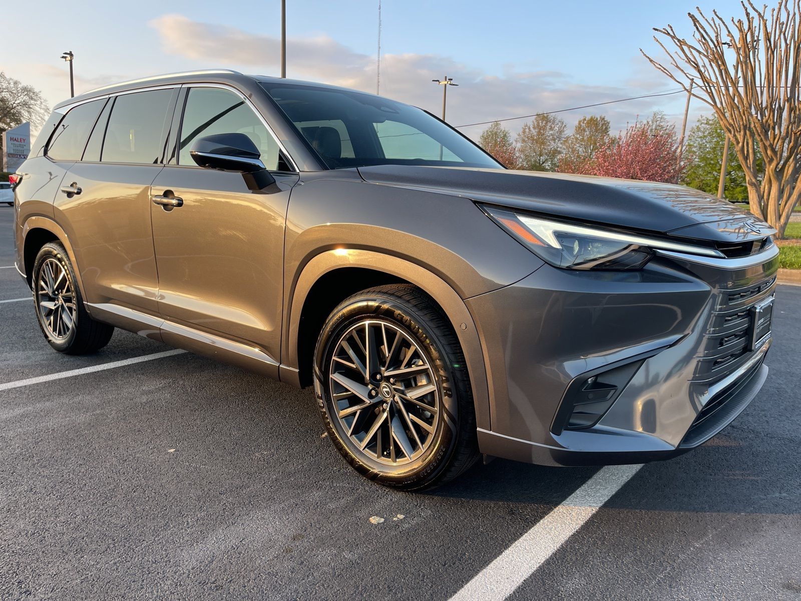 Cloudburst Gray 2025 Lexus TX 350 Premium AWD SUV / Crossover All-Wheel Drive 8-Speed Automatic
