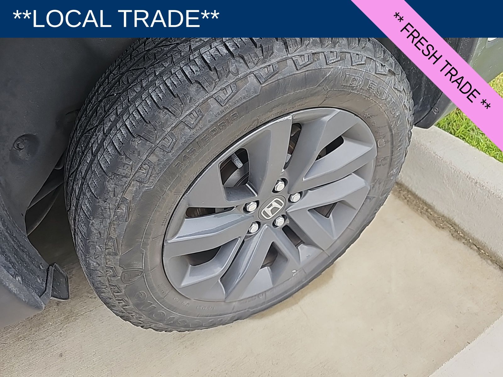 Ridgeline Sport