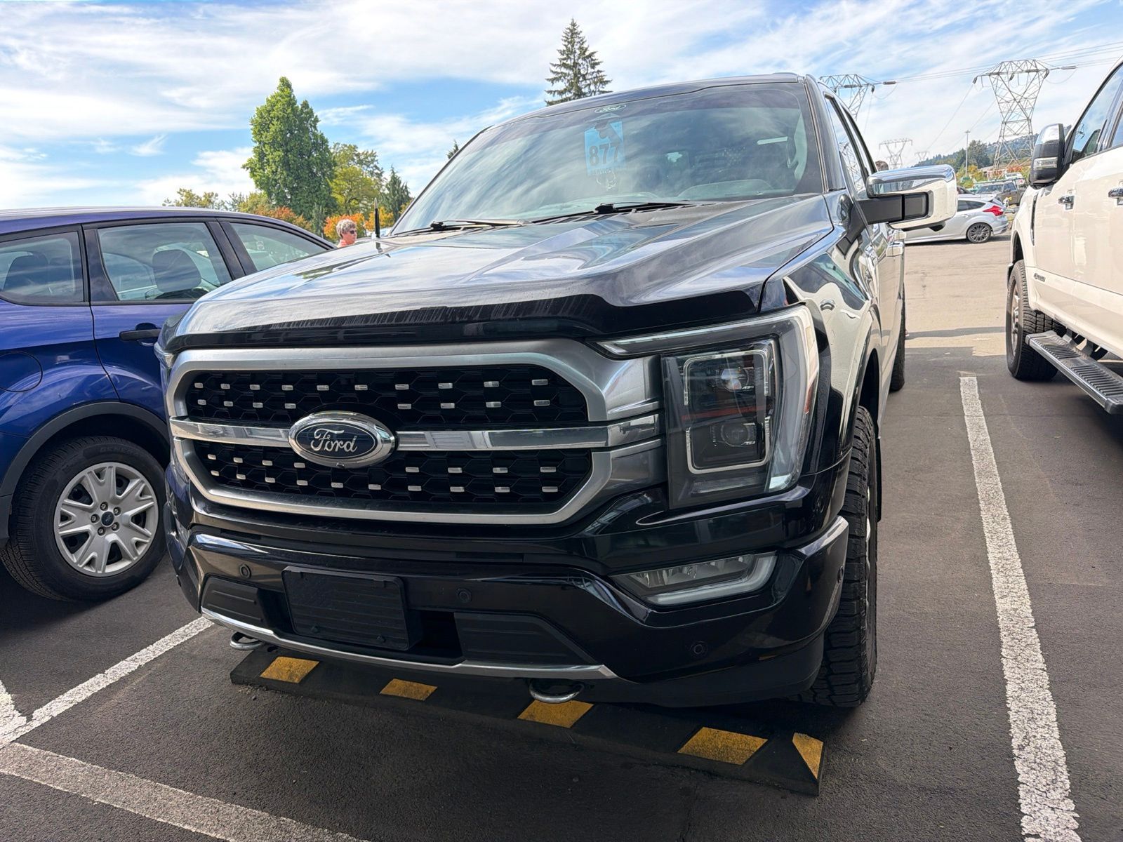 2022 Ford F-150 Platinum SuperCrew 4WD