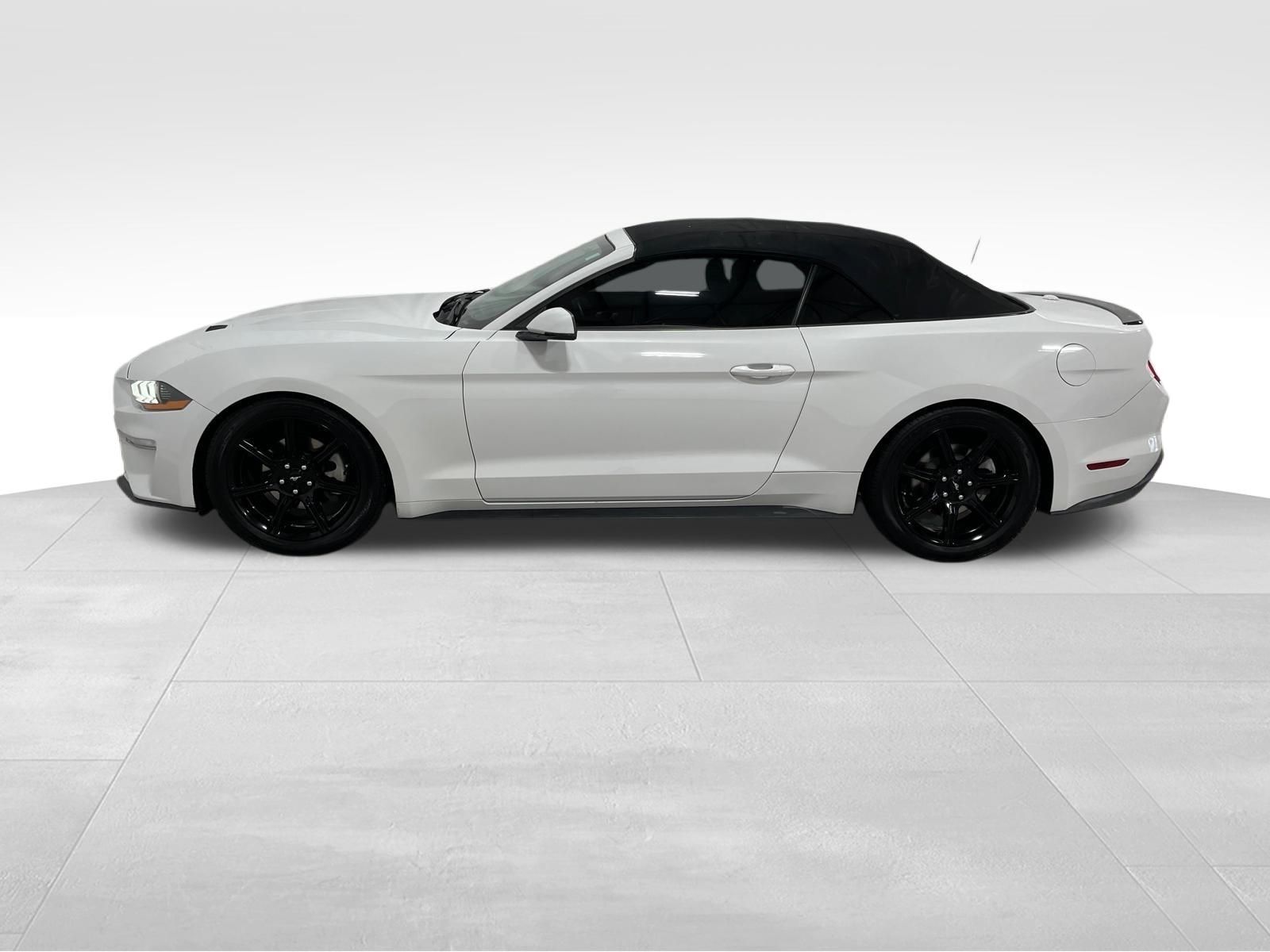 Used Car 2018 Ford Mustang  Ecoboost Premium For Sale Under $20,000 In Austin, Texas