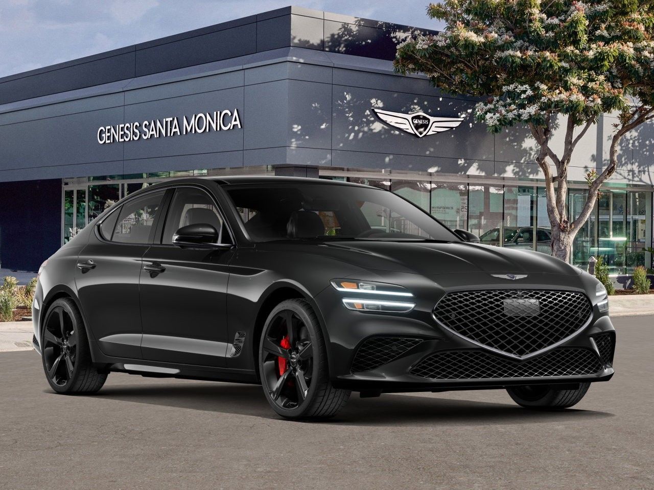 car-gallery-1