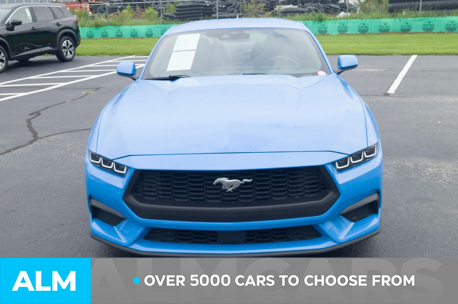 2024 Ford Mustang EcoBoost Premium photo 2