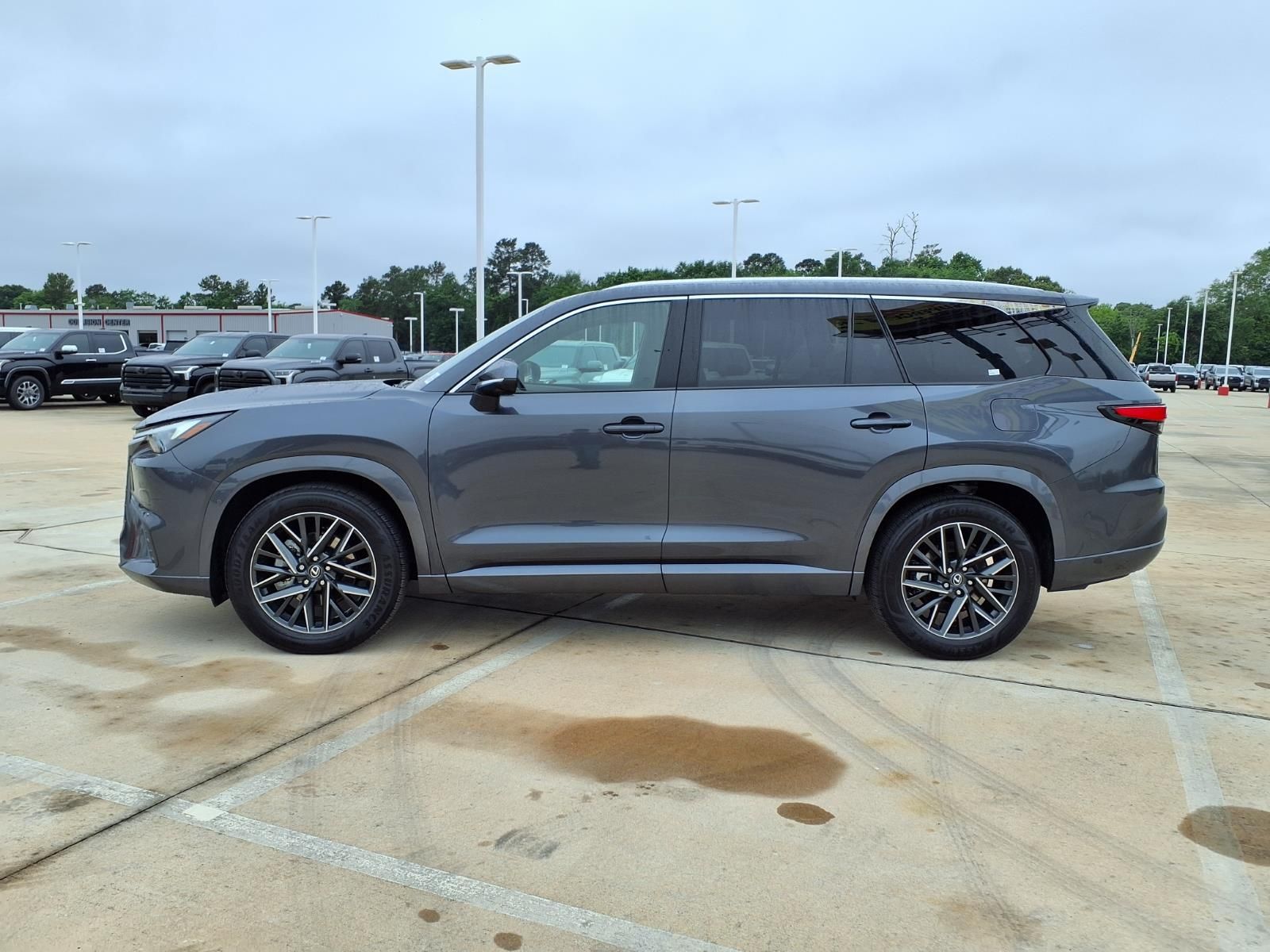 2025 Lexus TX 350 Premium Gray at Westside Lexus