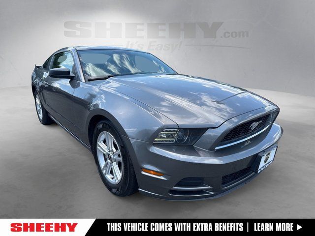 2014 Ford Mustang V6's photo