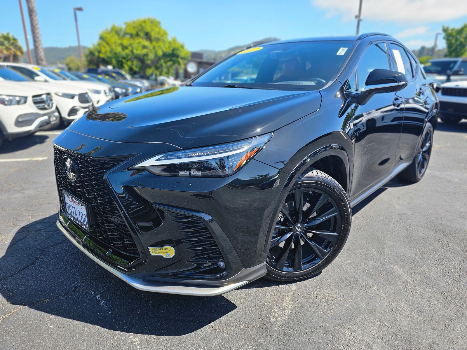 2022 Lexus NX Hybrid 450h+ F SPORT Handling AWD