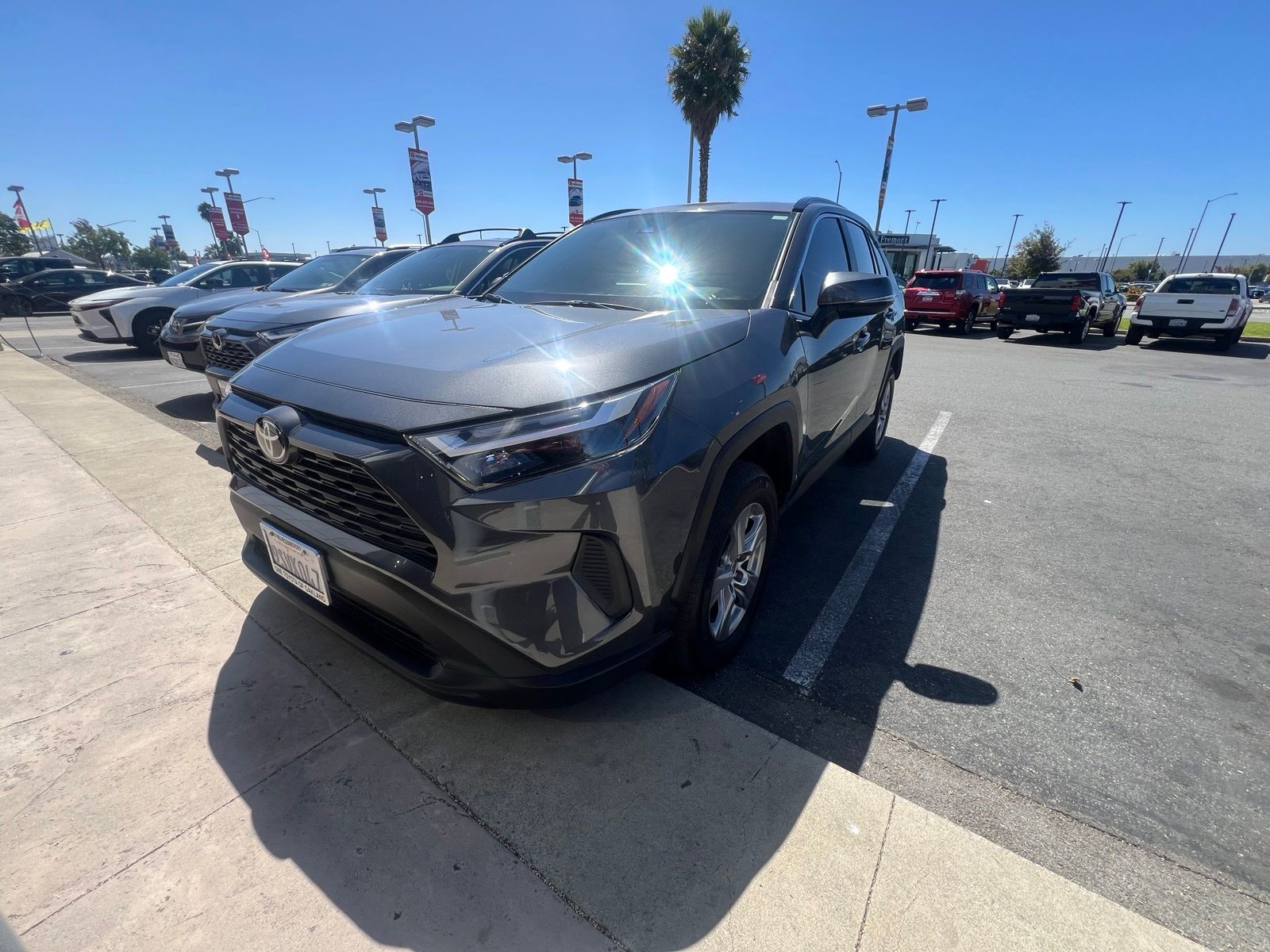 Magnetic Gray Metallic 2025 Toyota RAV4 SUV / Crossover Front-Wheel Drive 8-Speed Automatic