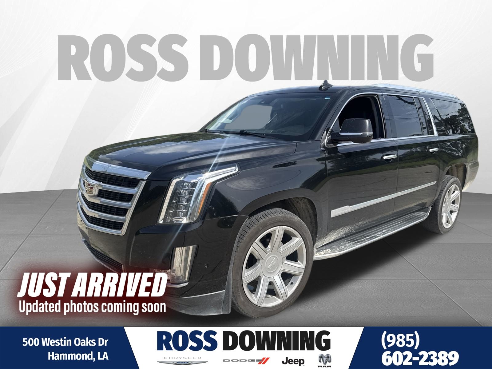 Black Raven 2019 Cadillac Escalade ESV SUV / Crossover Rear-Wheel Drive