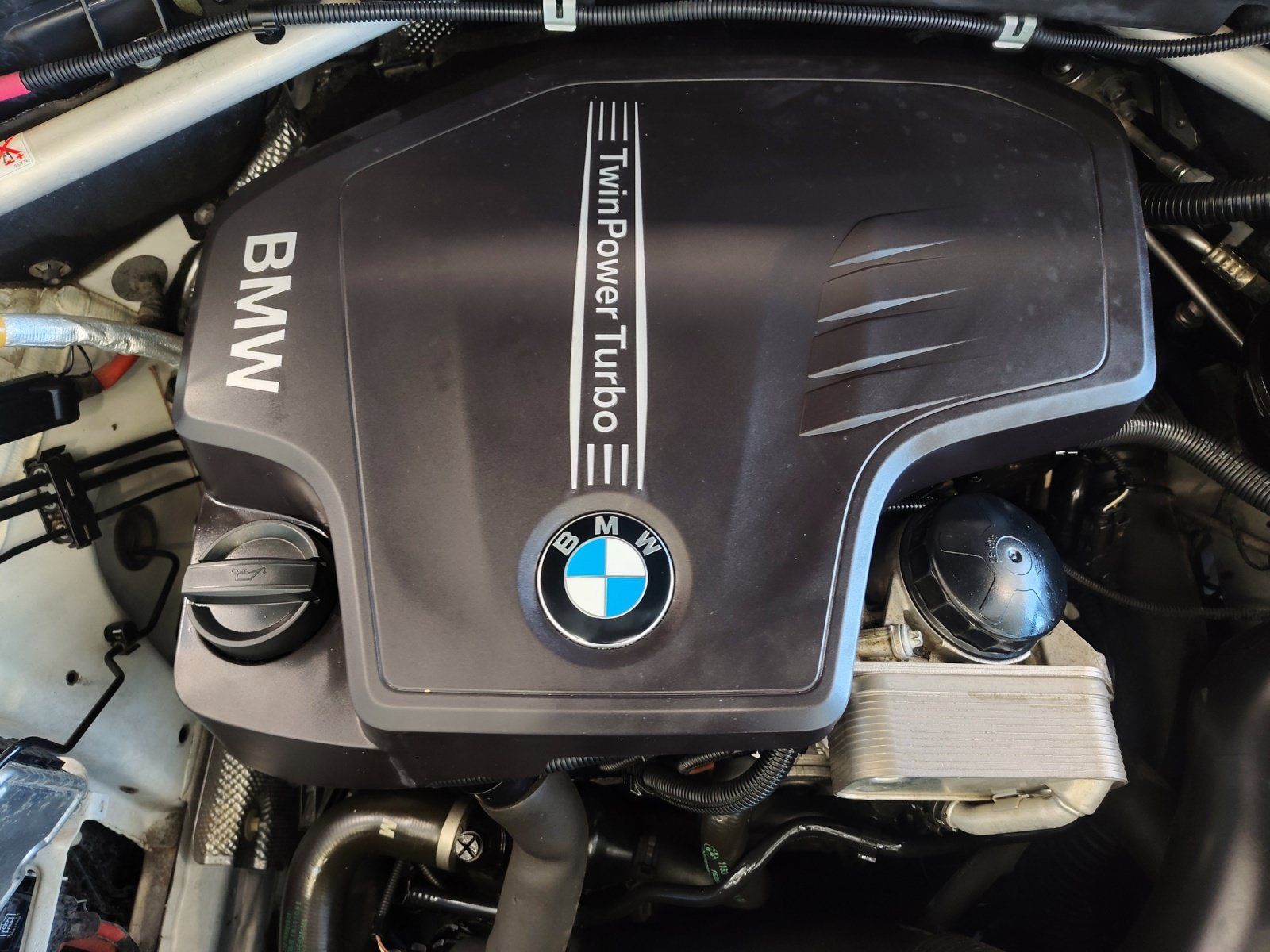 Used Car 2018 Bmw X4  Xdrive28i For Sale Under $20,000 In San Antonio, Texas