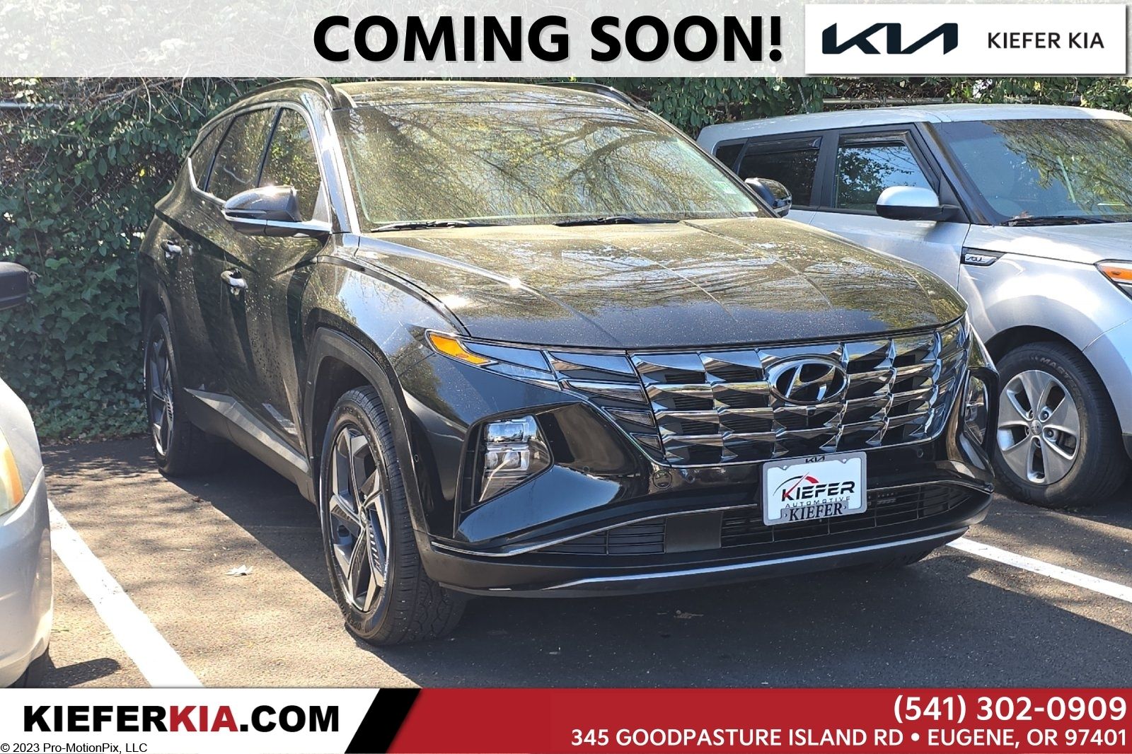 Black Pearl 2024 Hyundai Tucson Hybrid Limited AWD SUV / Crossover All-Wheel Drive 6-Speed Automatic