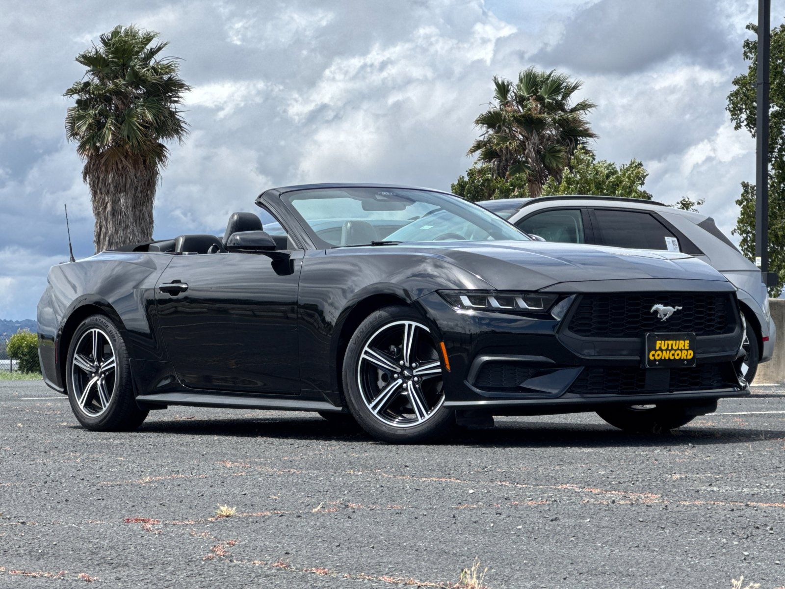 Shadow Black 2024 Ford Mustang EcoBoost Premium Convertible RWD Convertible Rear-Wheel Drive Automatic
