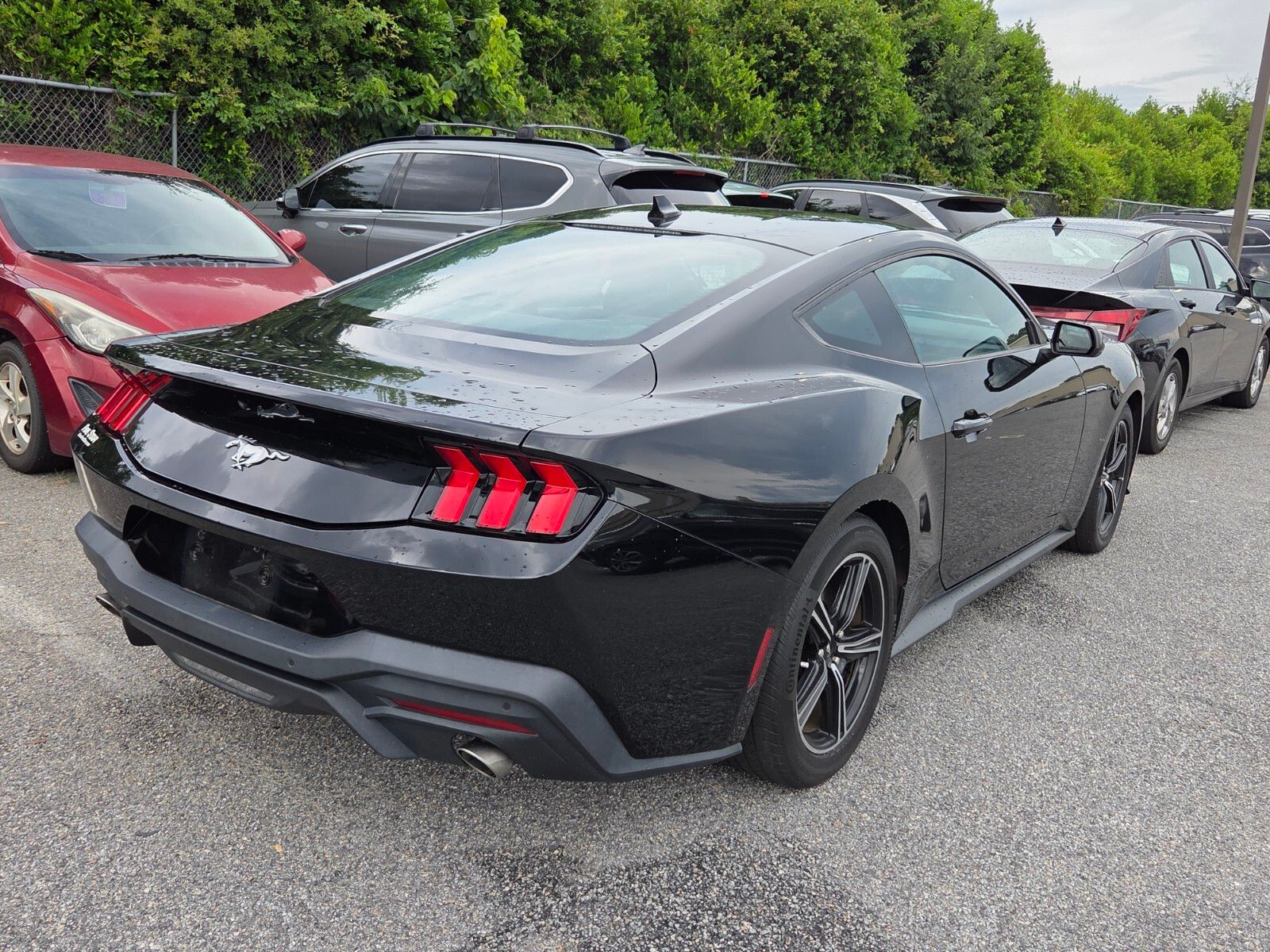 Used 2024 Black Ford EcoBoost image 5