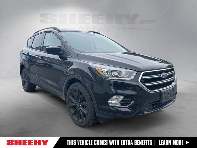 2019 Ford Escape SE 4WD's photo